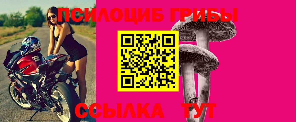 Псилоцибиновые грибы Cubensis  Вход с VPN  Тольятти 